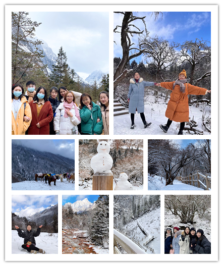 香港六和全年资料大全