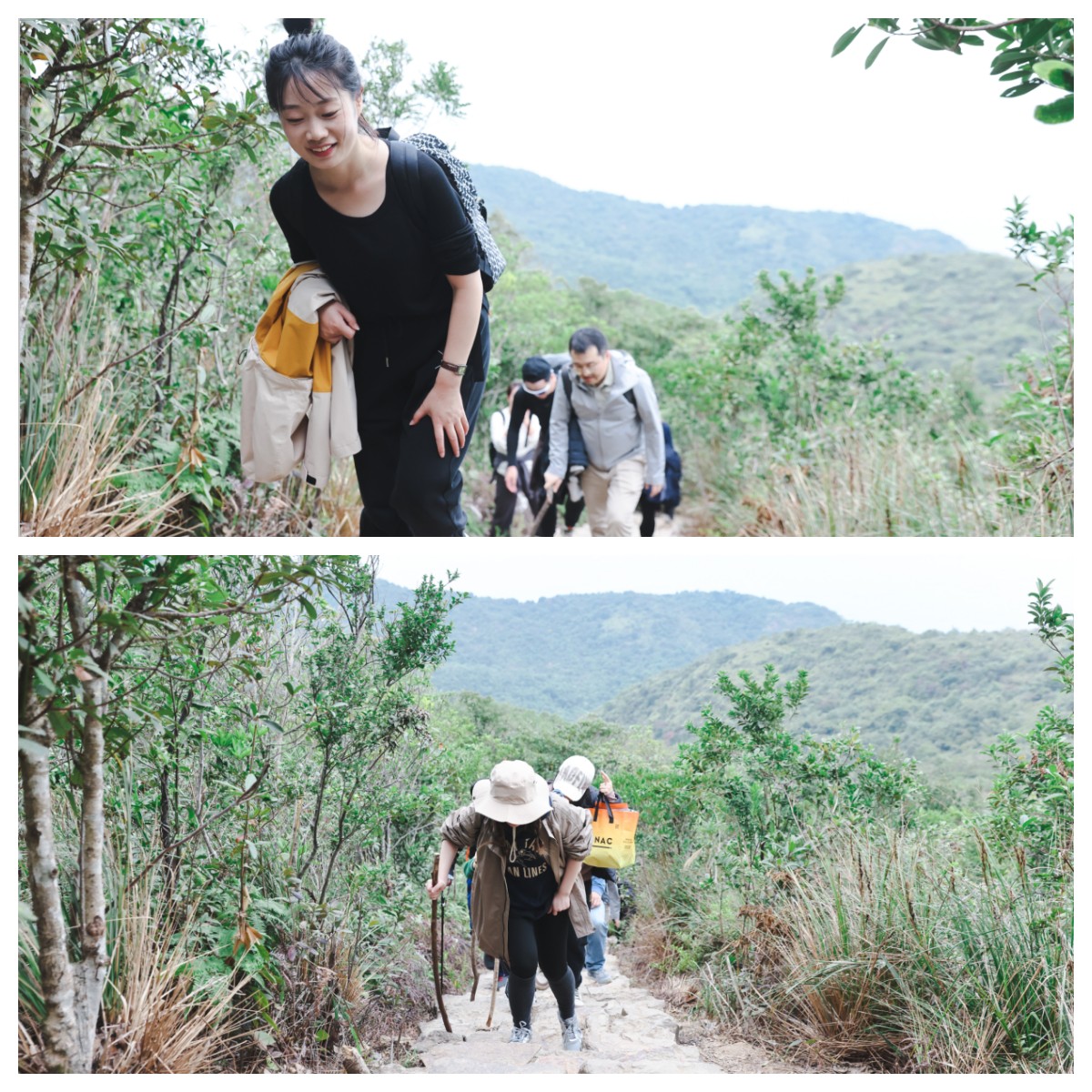 香港六和全年资料大全