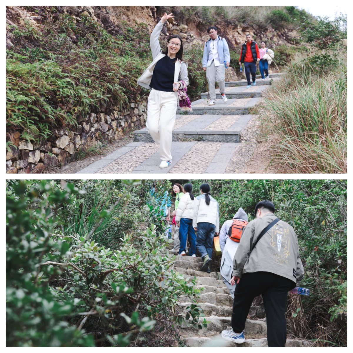 香港六和全年资料大全