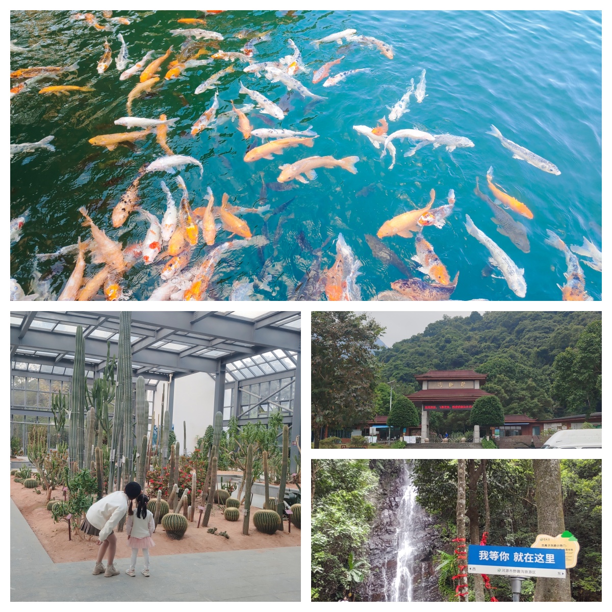 香港六和全年资料大全