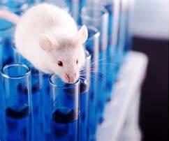 香港六和全年资料大全