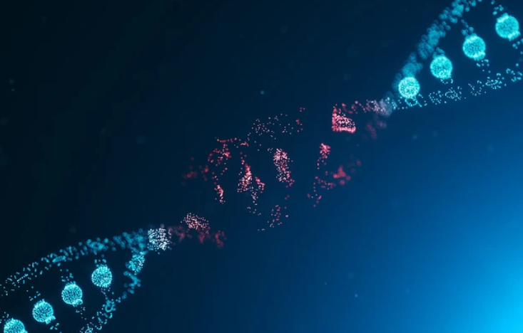 香港六和全年资料大全